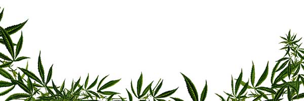 Monster-CBD