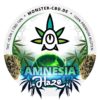 Amnesia Haze Label