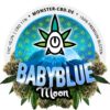 Babyblue Moon 3g • 11% CBD Premium Elite Blüten 2