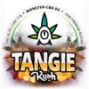Tangie X-Kush 3g • 11% CBD Premium Elite Blüten 2