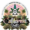 California Runtz 3g • CBD Premium Blüten • HIGH ⭑⭑⭑ 4
